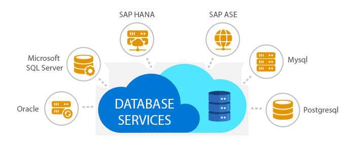 DataBase Services